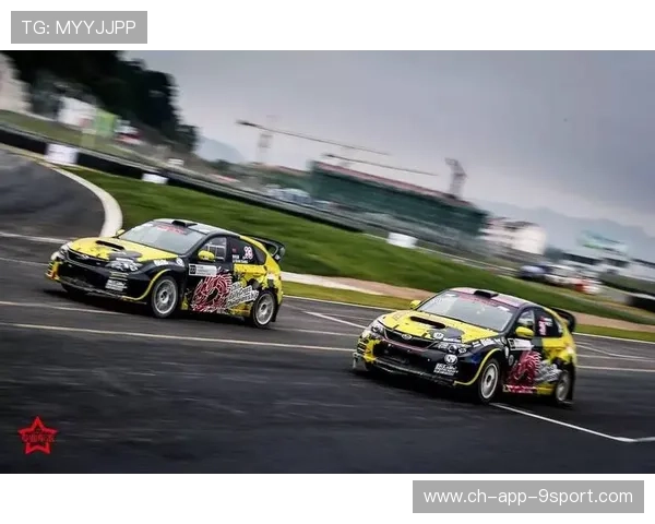 世界拉力锦标赛赛季战术策略研究