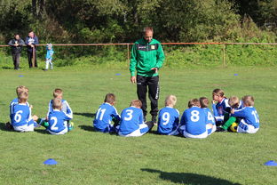 九游app官网下载-印度队再创纪录,击球火力惊人,印度进球